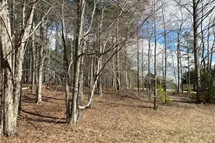 265 Evans Dr, Buchanan, GA 30113 - Photo 102