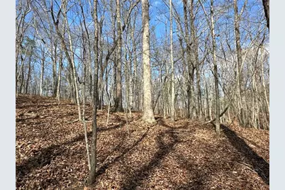 265 Evans Drive, Buchanan, GA 30113 - Photo 80