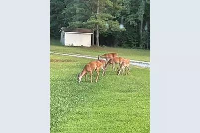 265 Evans Drive, Buchanan, GA 30113 - Photo 116