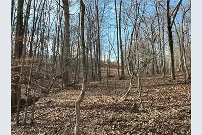 265 Evans Drive, Buchanan, GA 30113 - Photo 82