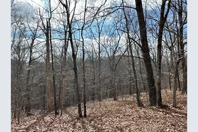 265 Evans Drive, Buchanan, GA 30113 - Photo 86