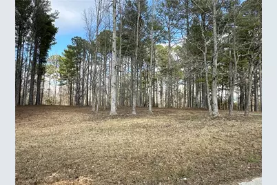 265 Evans Drive, Buchanan, GA 30113 - Photo 92