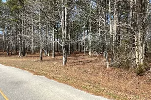 265 Evans Dr, Buchanan, GA 30113 - Photo 110