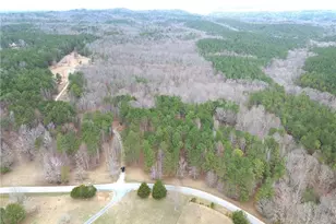 265 Evans Dr, Buchanan, GA 30113 - Photo 62