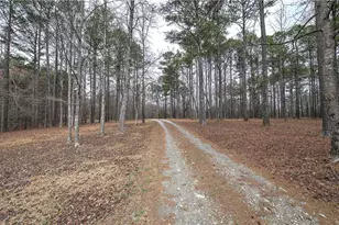 265 Evans Dr, Buchanan, GA 30113 - Photo 6