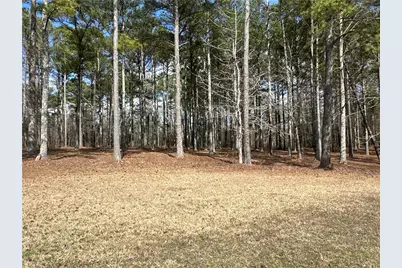 265 Evans Drive, Buchanan, GA 30113 - Photo 104