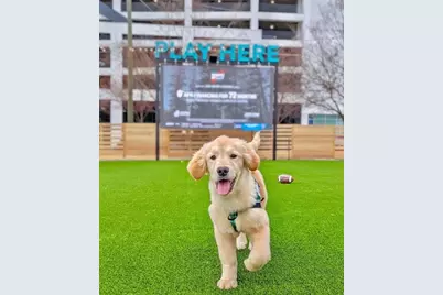 104 Woodhaven Way, Alpharetta, GA 30009 - Photo 22