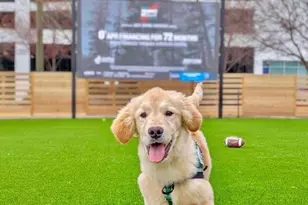 104 Woodhaven Way, Alpharetta, GA 30009 - Photo 22