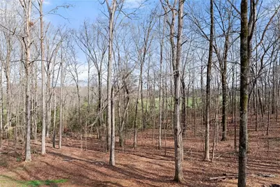 5812 Shadow Oaks Drive, Murrayville, GA 30564 - Photo 52