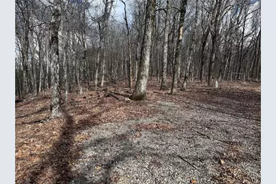 Tractc Old A T Approach Trail, Jasper, GA 30143 - Photo 2