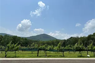 110 Rathgeb Trail, Jasper, GA 30143 - Photo 56