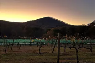 110 Rathgeb Trail, Jasper, GA 30143 - Photo 58