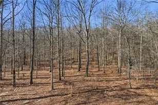 5975 Windsor Creek Dr, Douglasville, GA 30135 - Photo 36