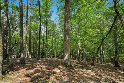 265 Red Cloud Drive, Waleska, GA 30183 - Photo 14