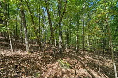 265 Red Cloud Drive, Waleska, GA 30183 - Photo 12