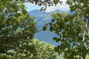 Lot 2 Whiskey Mountain Estates, Hiawassee, GA 30546 - Photo 4