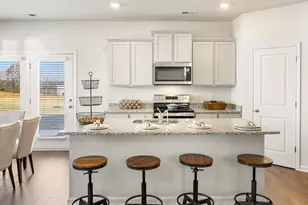 169 Lauritsen Way, Newnan, GA 30265 - Photo 4