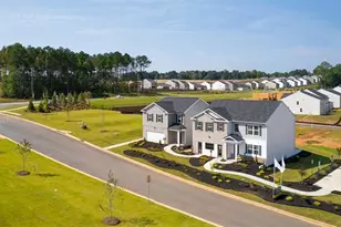 169 Lauritsen Way, Newnan, GA 30265 - Photo 34