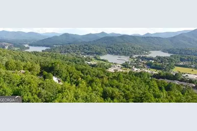 Lot 3 Whiskey Mountain Estates, Hiawassee, GA 30546 - Photo 8