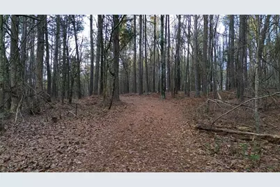 8165 Highway 81, Bethlehem, GA 30620 - Photo 10