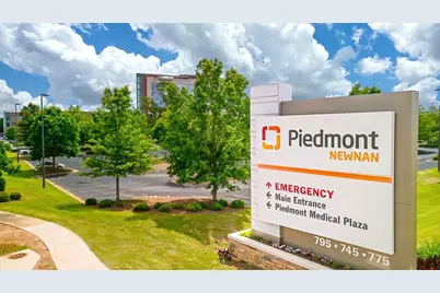 173 Lauritsen Way, Newnan, GA 30265 - Photo 42