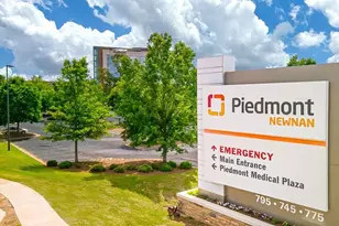 173 Lauritsen Way, Newnan, GA 30265 - Photo 42