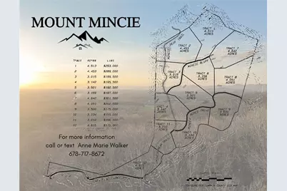 Lot 2 Mount Mincie Road, Murrayville, GA 30564 - Photo 1