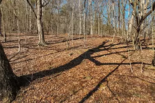 Lot 8 Mount Mincie Rd, Murrayville, GA 30564 - Photo 1