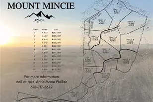 Lot 10 Mount Mincie Rd, Murrayville, GA 30564 - Photo 1