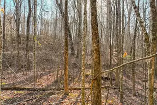 Lot 12 Mount Mincie Rd, Murrayville, GA 30564 - Photo 1