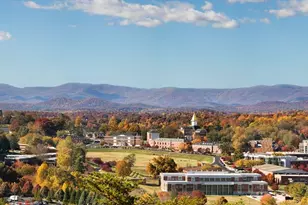 224 River Rock Dr, Dahlonega, GA 30533 - Photo 110