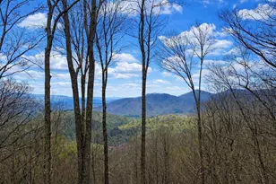 217 Walnut Ridge, Ellijay, GA 30540 - Photo 2