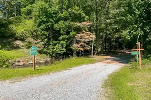 217 Walnut Ridge, Ellijay, GA 30540 - Photo 78