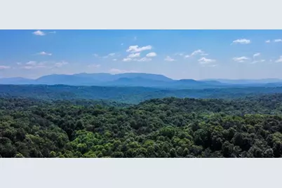 217 Walnut Ridge, Ellijay, GA 30540 - Photo 82