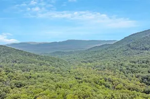 217 Walnut Ridge, Ellijay, GA 30540 - Photo 64