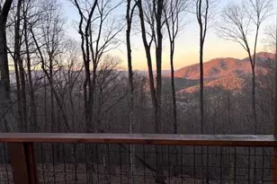 217 Walnut Ridge, Ellijay, GA 30540 - Photo 58