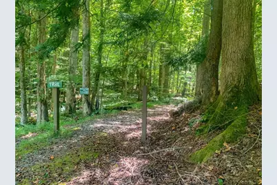 217 Walnut Ridge, Ellijay, GA 30540 - Photo 72