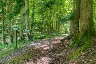 217 Walnut Ridge, Ellijay, GA 30540 - Photo 72