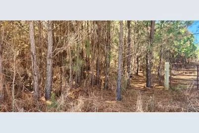 0 Jaudon Road, Elberton, GA 30635 - Photo 2