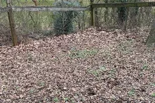 140 Line St, Buford, GA 30518 - Photo 26