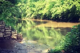 332 Pine Acres Dr, Canton, GA 30115 - Photo 28