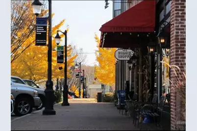 332 Pine Acres Drive, Canton, GA 30115 - Photo 38