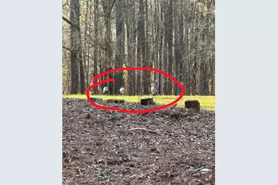 5291 Driskell Drive, Winston, GA 30187 - Photo 44