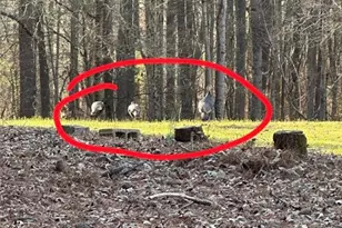 5291 Driskell Dr, Winston, GA 30187 - Photo 44