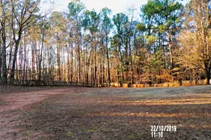 1035 Upchurch Rd, McDonough, GA 30252 - Photo 32