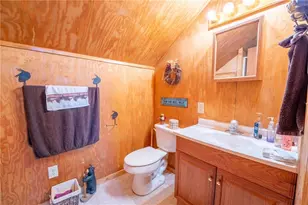 281 Briarpatch Way, Cleveland, GA 30528 - Photo 48