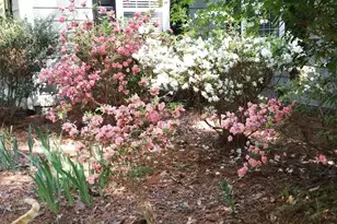 3319 Stewart Rd, Monroe, GA 30655 - Photo 24