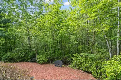 85 Post Oak Lane, Big Canoe, GA 30143 - Photo 28