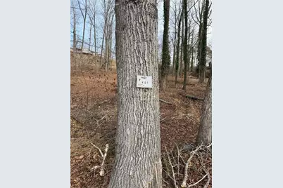 4551 Shoreline Drive, Gainesville, GA 30506 - Photo 8