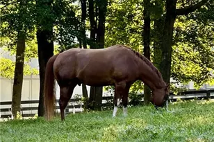 2865 Hightower Rd, Ball Ground, GA 30107 - Photo 40